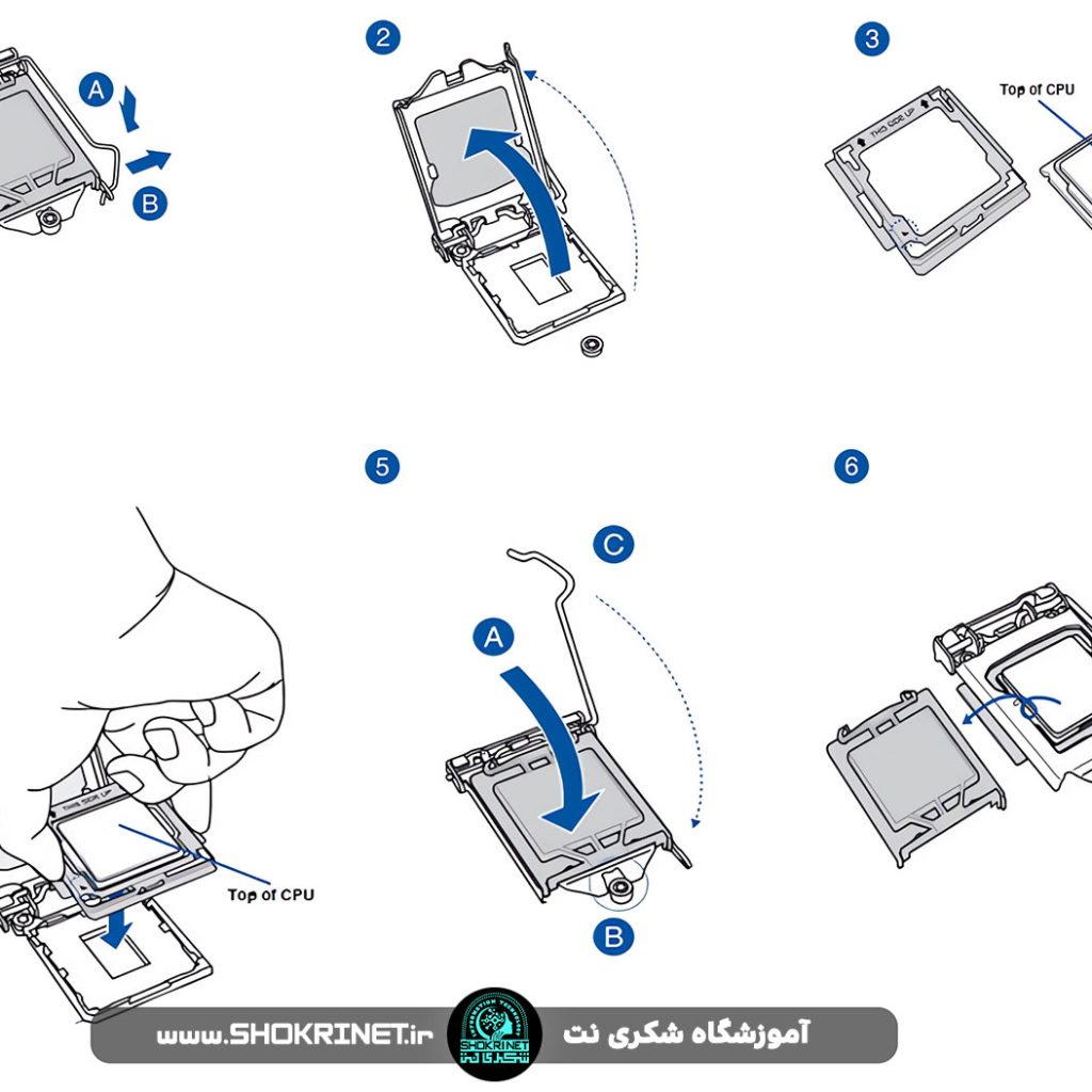 شکری نت نصب CPU
